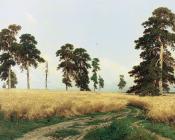 伊万 希什金 : The Rye Field